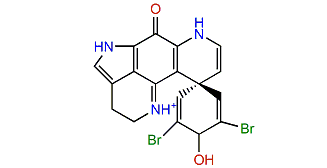 3-Dihydro-7,8-dehydrodiscorhabdin C
